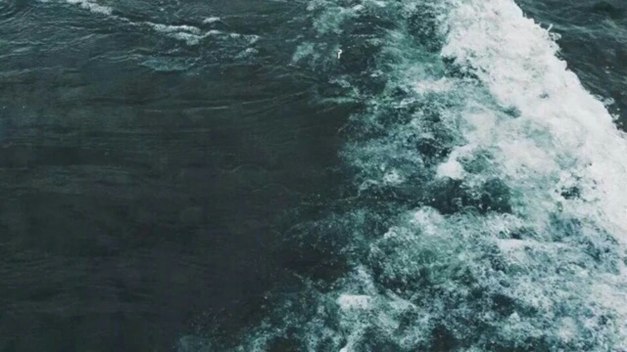 Picsart banner for @cautiously