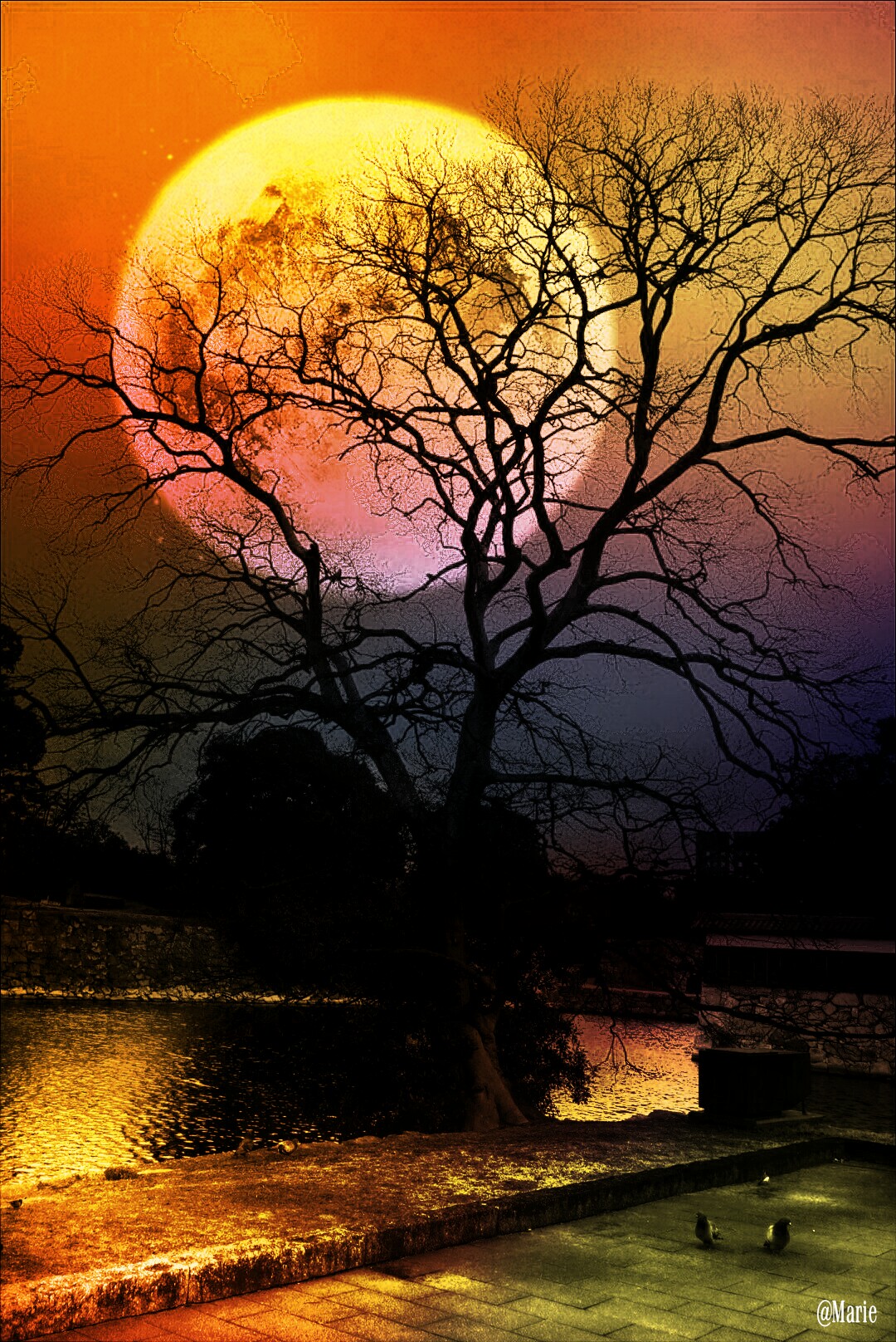See you in my dreams .... colorful moon tree illus...