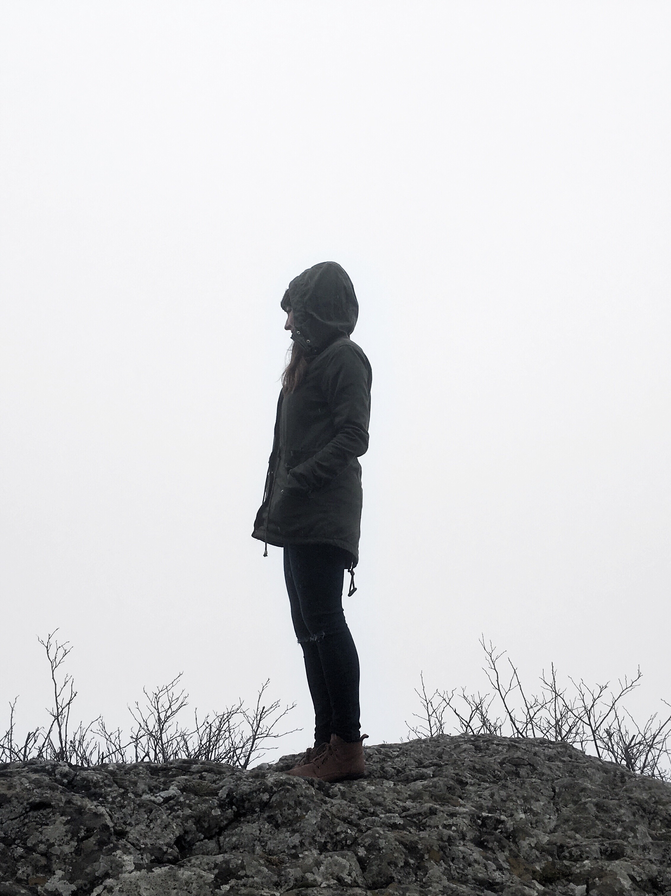 silhouette black white blackandwhite minimalism freetoedit