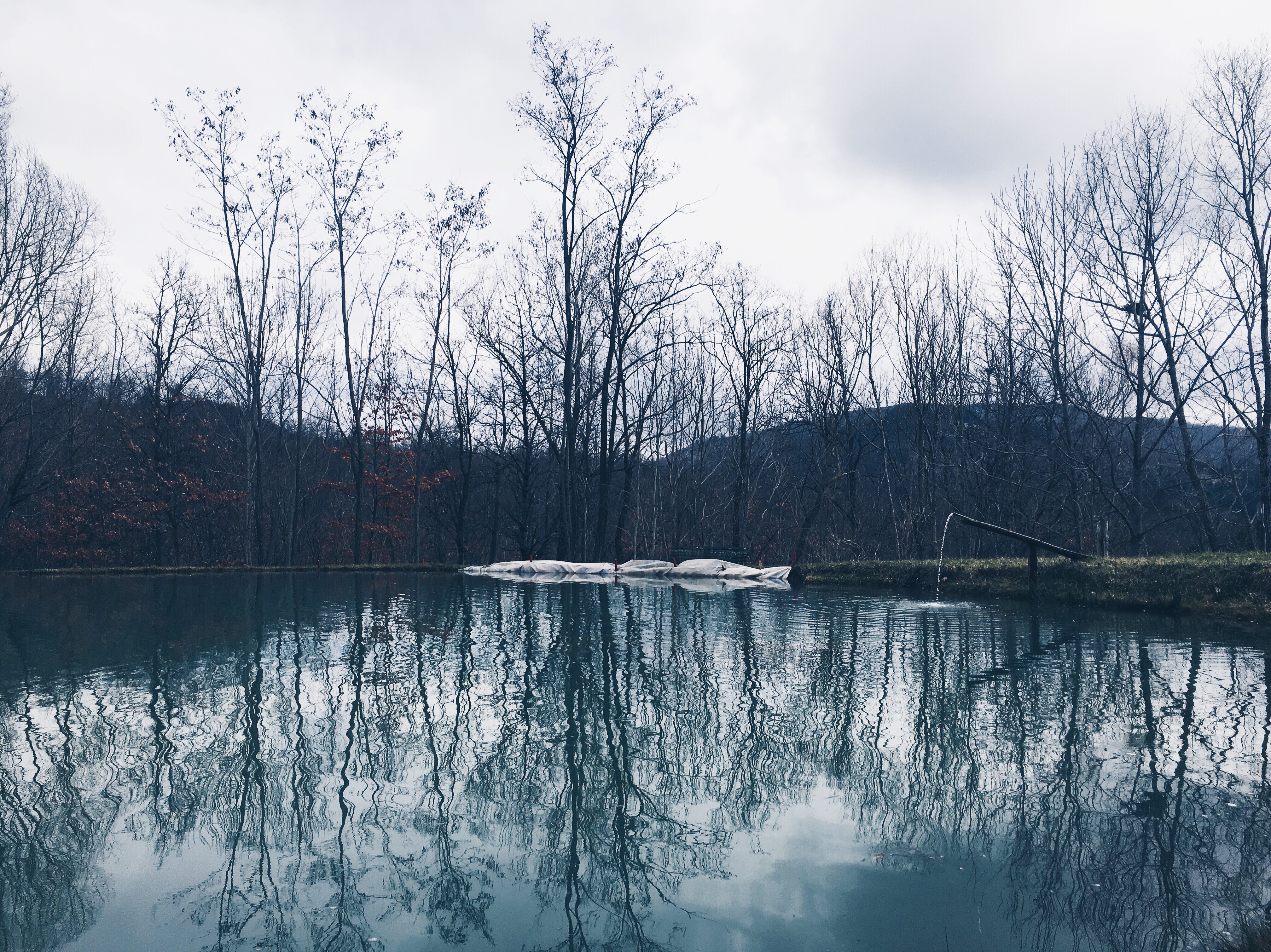 lake reflections symmetry nature trees
